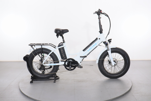 Lectric XPremium