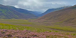 Scottish Highlands Walking Tour - 1 day tour