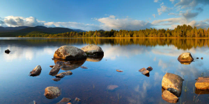 Into the Wild: A Walking Tour in the Scottish Highlands - 1 day tour