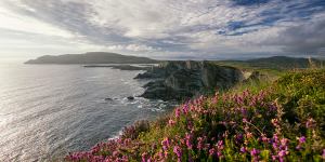 Roaming the Ring of Kerry: Portmagee & Skellig Ring - 1 day tour