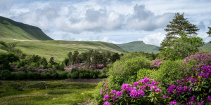 Legendary Castles & Mountains of Wales - 1 day tour