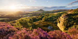 Tales of Wild Yorkshire Moors & Whitby - 1 day tour