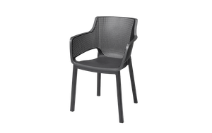 Elisa Dining Chair Set of 6 - Graphite