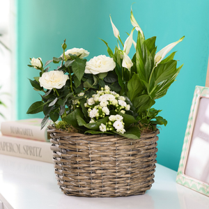 Pure Whites Planter