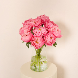 Coral Peonies by Arena Flowers