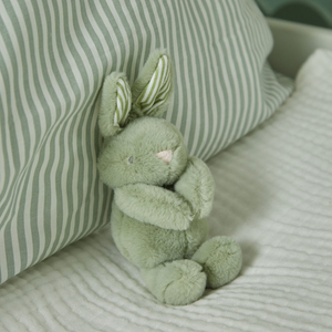 Sage Mini Bunny Soft Toy