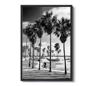 Venice Beach Skate Park II