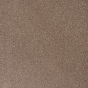 Alto - Driftwood - Felt Backed - Carpet Sample [C006]