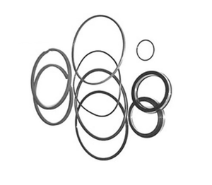 Hydraulic Cylinders Seal Kit, 3" Bore 1-1/4" Rod (Economical Cylinders)