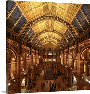 The Natural History Museum, South Kensington, London