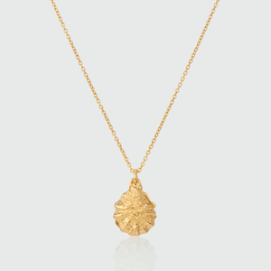 Gaia Gold Vermeil Oyster Shell & Pearl Necklace