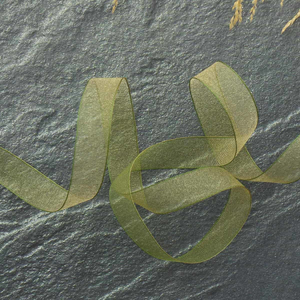 Ruban organza - Kaki