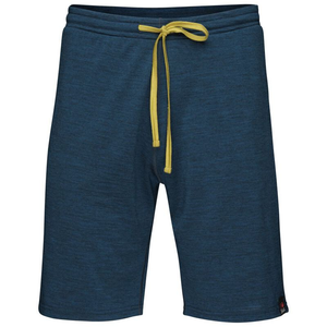 Herren Merino 200 Shorts (Blau)