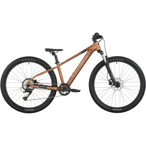 Bike Roxter 600 ALLB OSZ alloy brown one size