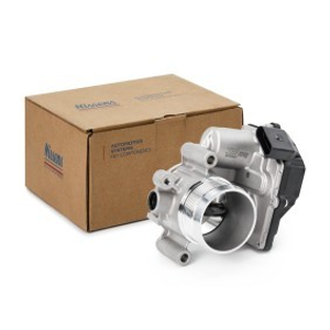 Throttle body