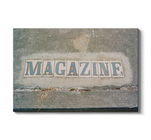 New Orleans Magazine Street On Film