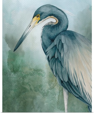 Bayou King II