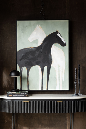 Stallion Shadow Canvas Art Print