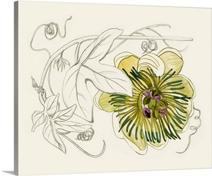Passionflower II