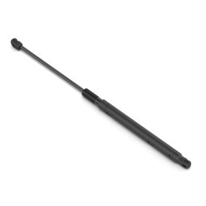 Bonnet strut
