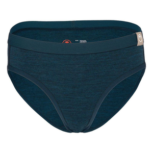 Damen 160 Merino Blend Bikini Unterwäsche (Grün)