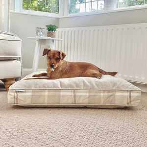 Dog Cushion in Balmoral Natural Tweed by Lords & Labradors