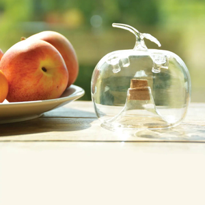 Glass Apple Fruit Fly Trap I Non Toxic Fly Catcher