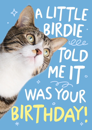 A Little Birdie Told Me It Was Your Birthday Fun Cat Card