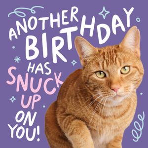 Moonpig Another Birthday Has Snuck Up On You Cute Cat Card