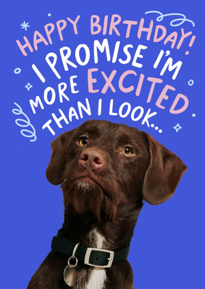 Happy Birthday I Promise I'm More Excited Than I Look Dog Card