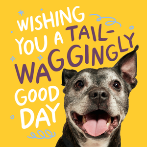 Moonpig Wishing You A Tail-Waggingly Good Day Dog Birthday Card