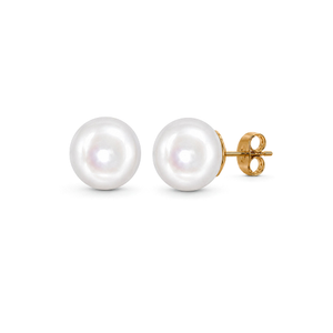 9ct Yellow Gold Freshwater Button Pearl Stud Earrings — 9x9.5mm