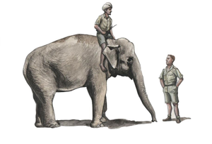CMK CMF48345 1:48 WWII RAF Mechanic with Indian Elephant & Mahout