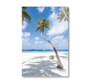 Palm Tree On The Beach, Maldives