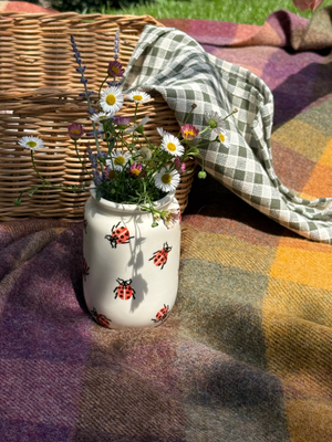 Ladybird Medium Jam Jar