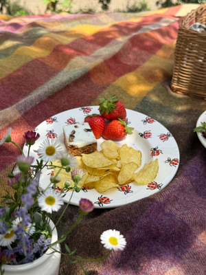 Ladybird Medium Dinner Plate, 8.5 Inch