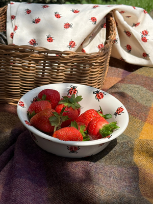 Ladybird Cereal Bowl