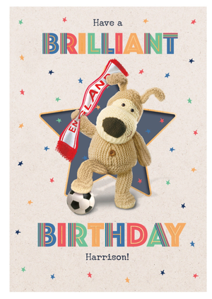 Boofle England Football Have A Brilliant Birthday Card