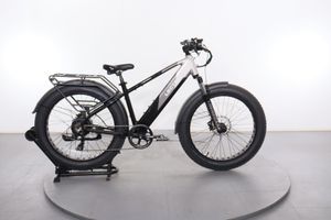 Lectric XPeak