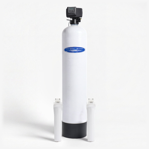 Arsenic Whole House Water Filter