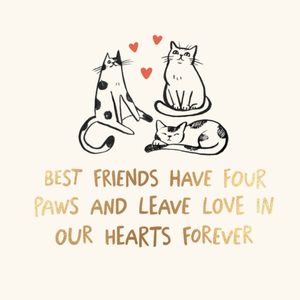 Moonpig Best Friends Have Four Paws And Leave Love In Our Hearts Forever Cat Sympathy Card