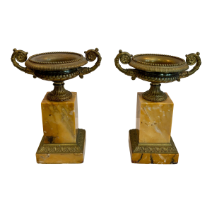 Pair of 19th Century French Bronze and Sienna Marble Urns