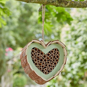 Love Heart Bee Box