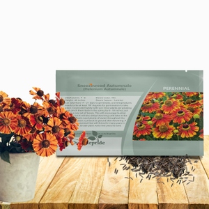 Helenium Seeds - Sneezeweed Helenium Autumnale Flower Seed