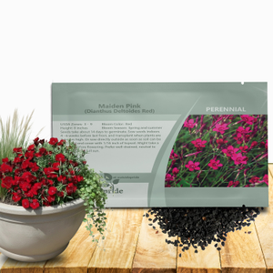 Dianthus Deltoides Maiden Pinks Drought Resistant Flower Seed