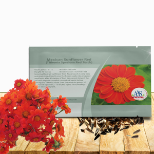 Tithonia Torch AAS Winner Mexican Sunflower Seeds For Planting