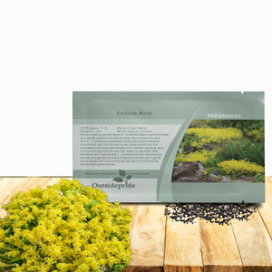 Yellow Sedum Acre Seeds For Planting - Stonecrop Ground Cover Plant Seed