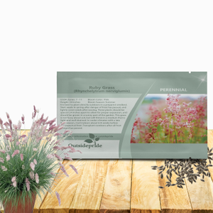 Ruby Grass Seeds - Bristle-Leaved Redtop Ornamental Grass Seed