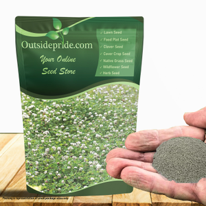 White Dutch Clover Seeds For Planting, Lawns, Erosion Control, Ground Cover Bulk Drought Tolerant