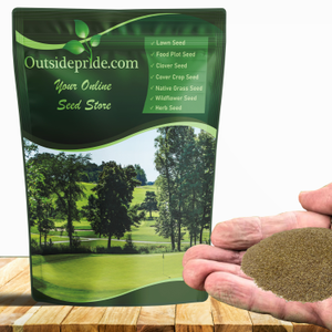 PC2.0 Penncross Creeping Bent Grass Seed - Putting Green Seed